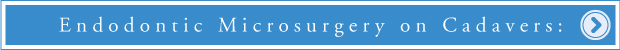 Dental School - Endodonzia Microchirugica su Cadavere